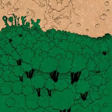 Enchanted Broccoli Forest by Polyfox and the Union of the Most Ghosts - album cover