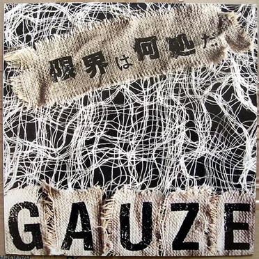 限界は何処だ by Gauze - album cover