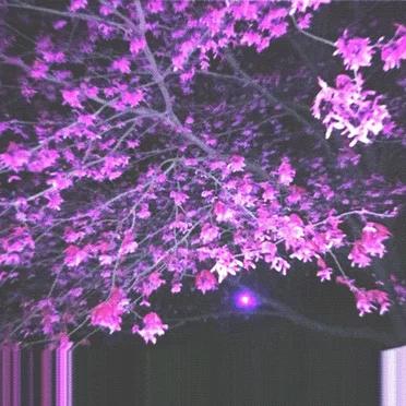 EARLY TAPES by Mokshadripp - album cover