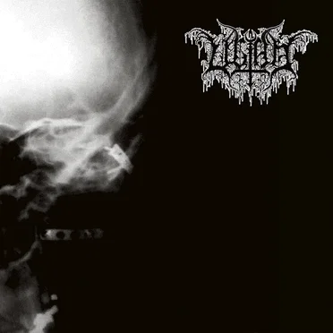 Split (A Tribute to M*n*stry) by Ultha - album cover