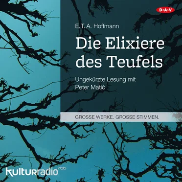 Die Elixiere des Teufels by E.T.A. Hoffmann - album cover