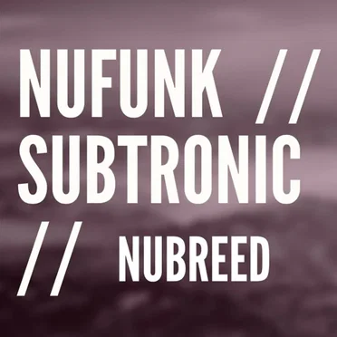 NuFunk / Subtronic