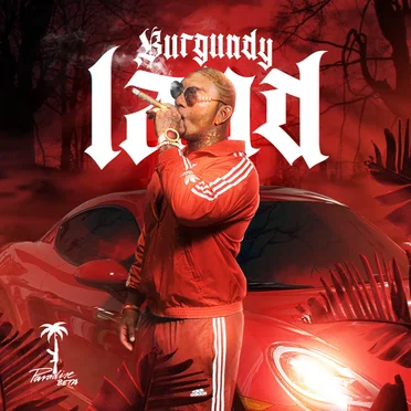 Burgundy Land by Paradise Beta - album cover