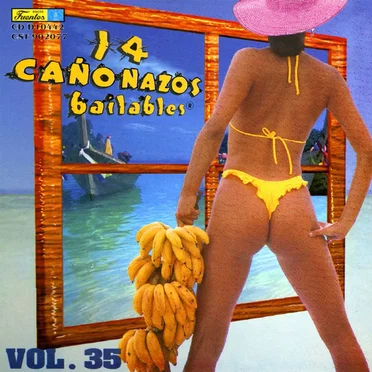 14 cañonazos bailables, vol. 35 by Various Artists - album cover