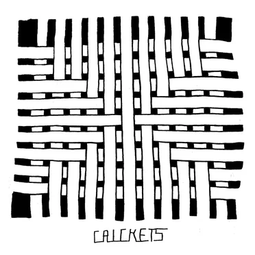 Drilled Two Holes by Crickets - album cover