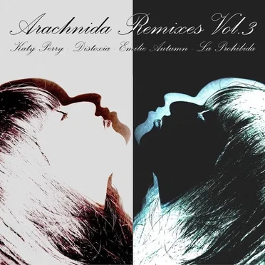 Arachnida Remixes, Volume 3 by Arachnida - album cover