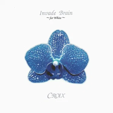 Invade Brain~for White~