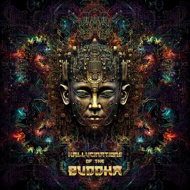 Hallucinations of the Buddha by Various Artists - album cover