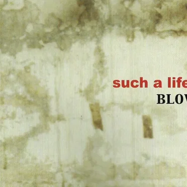 such a life? by BLOW - album cover
