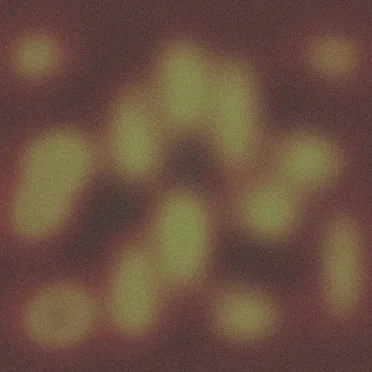 Soisong Broadcast #5 by SOISONG - album cover