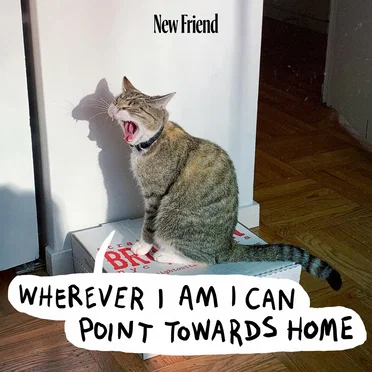 New Friend