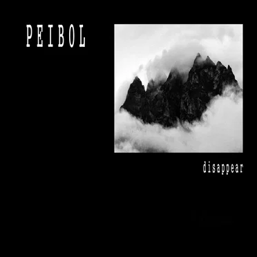 Disappear by Peibol - album cover