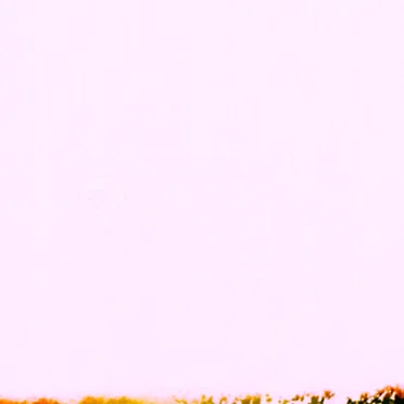 Srmp_1
