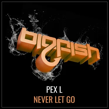 Never Let Go
