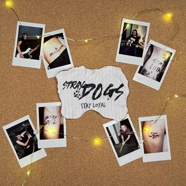 Stay Loyal by Stray Dogs - album cover