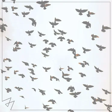 Chained To The Rhythm