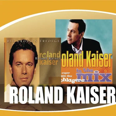 Die grossen Erfolge / In the Mix