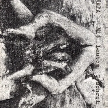 Mit lautem Geschrei by Minamata - album cover