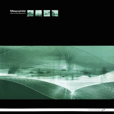 View of Life / Streams by Moonchild - album cover
