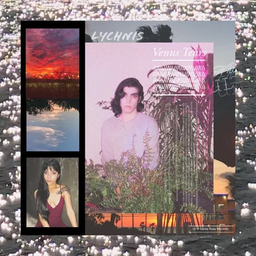 Venus Tears by Lychnis - album cover