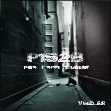 P1S2B by VinZlar - album cover