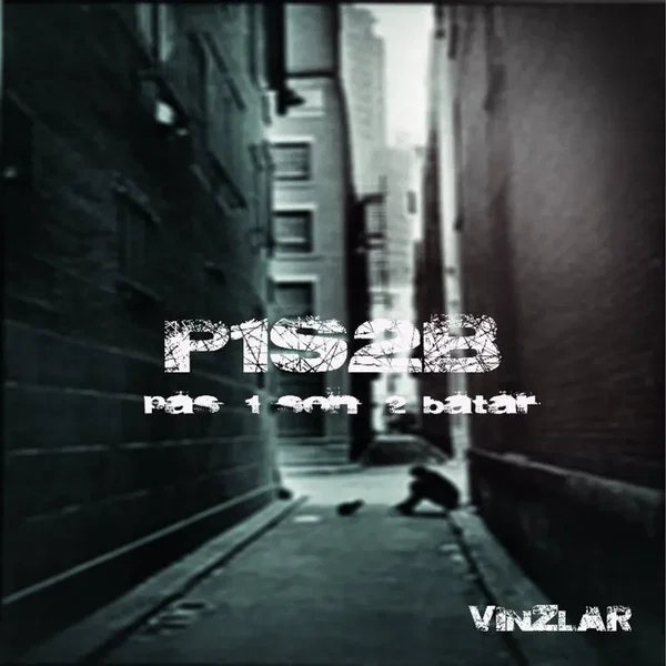 P1S2B