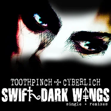 Swift Dark Wings