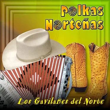 Polkas norteñas by Los Gavilanes del Norte - album cover