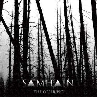 THE OFFERING