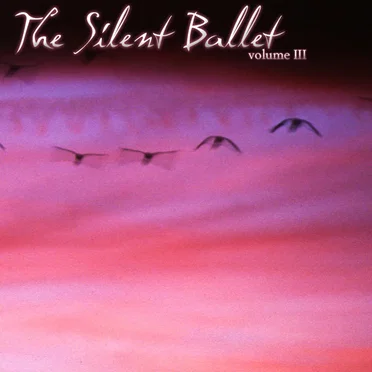 The Silent Ballet, Volume III: Unfolding a Broken Heart by Various Artists - album cover