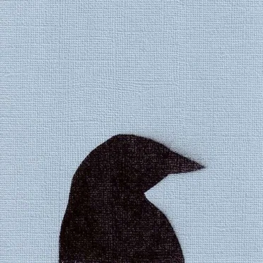 Imperfecta by The Murder of Crows - album cover