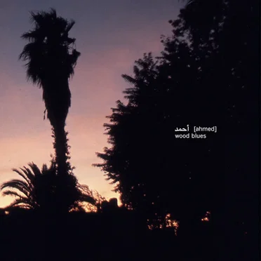 Wood Blues by أحمد [Ahmed] - album cover