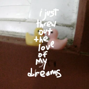 I Just Threw Out the Love of My Dreams