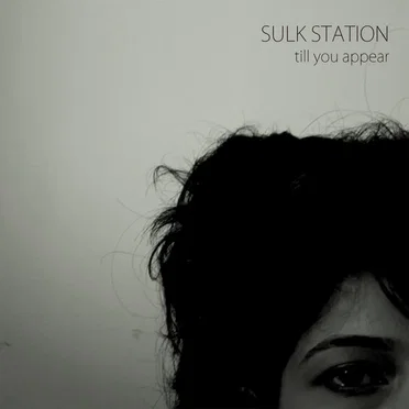 Till you appear by Sulk Station - album cover