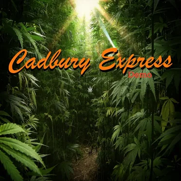 Demo by Cadbury Express - album cover