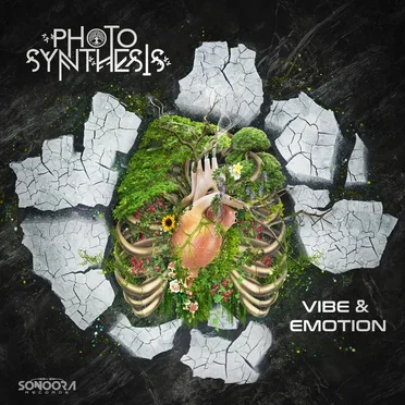 Vibe & Emotion by Photosynthesis - album cover