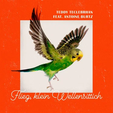 Flieg, klein Wellensittich by Teddy Teclebrhan - album cover