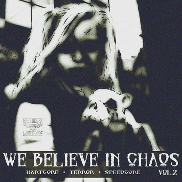 We Believe in Chaos, Vol.2 by Various Artists - album cover