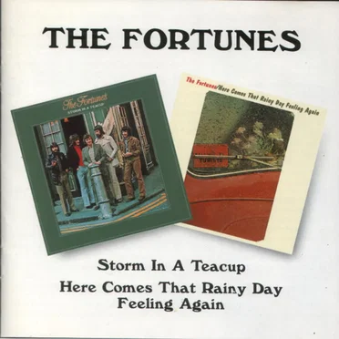 Storm in a Teacup / Here Comes That Rainy Day Feeling Again