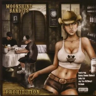 Prohibition by Moonshine Bandits - album cover