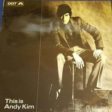 This Is Andy Kim