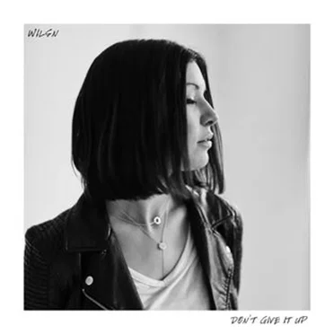 Don't Give It Up by WILSN - album cover