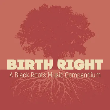 Birthright: A Black Roots Music Compendium by Various Artists - album cover
