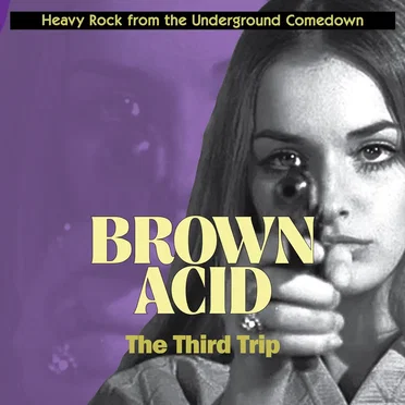 Brown Acid: The Third Trip by Various Artists - album cover