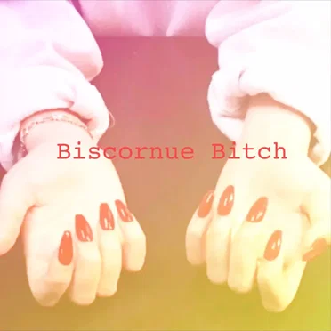 Biscornue Bitch