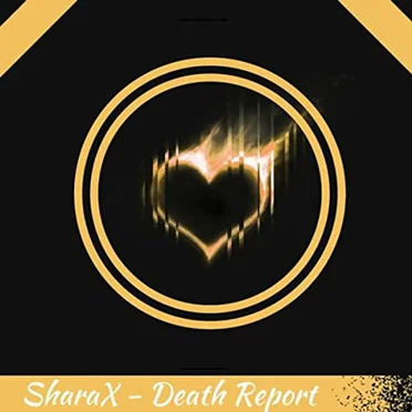 Death Report (Undertale remix)