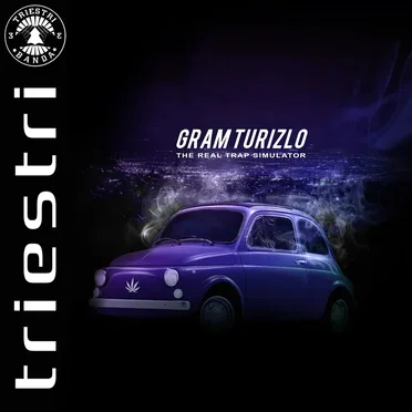 Gram Turizlo by Triestri - album cover