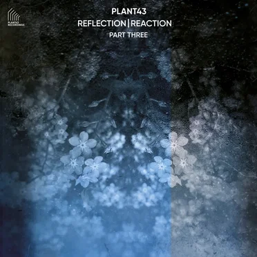 Reflection | Reaction – Part Three