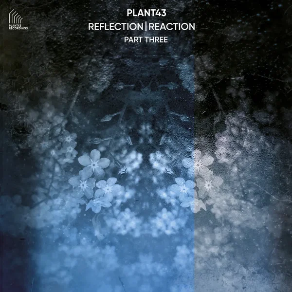 Reflection | Reaction – Part Three