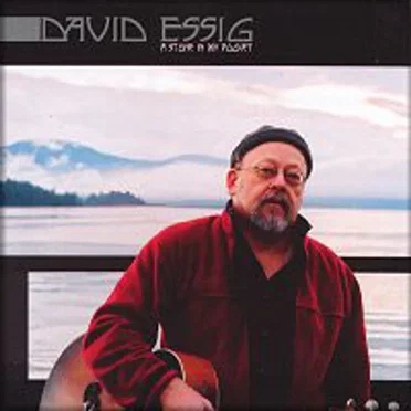 A Stone in My Pocket by David Essig - album cover